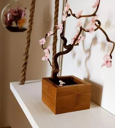 Bed & Breakfast Almarosa House