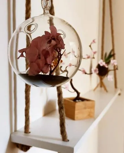 Bed & Breakfast Almarosa House